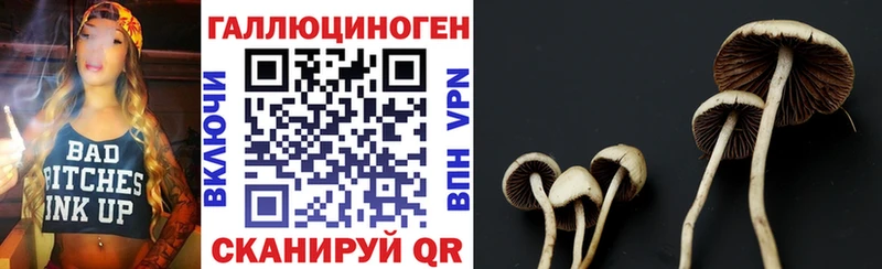 Псилоцибиновые грибы прущие грибы Купить закладки Изобильный